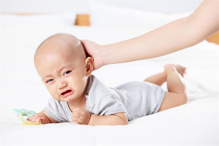 1656148835812042.jpg 26.jpg